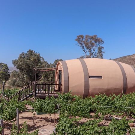 Finca El Mirador 瓜达鲁佩镇 外观 照片