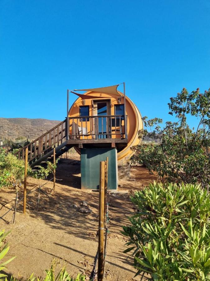 Finca El Mirador 瓜达鲁佩镇 外观 照片