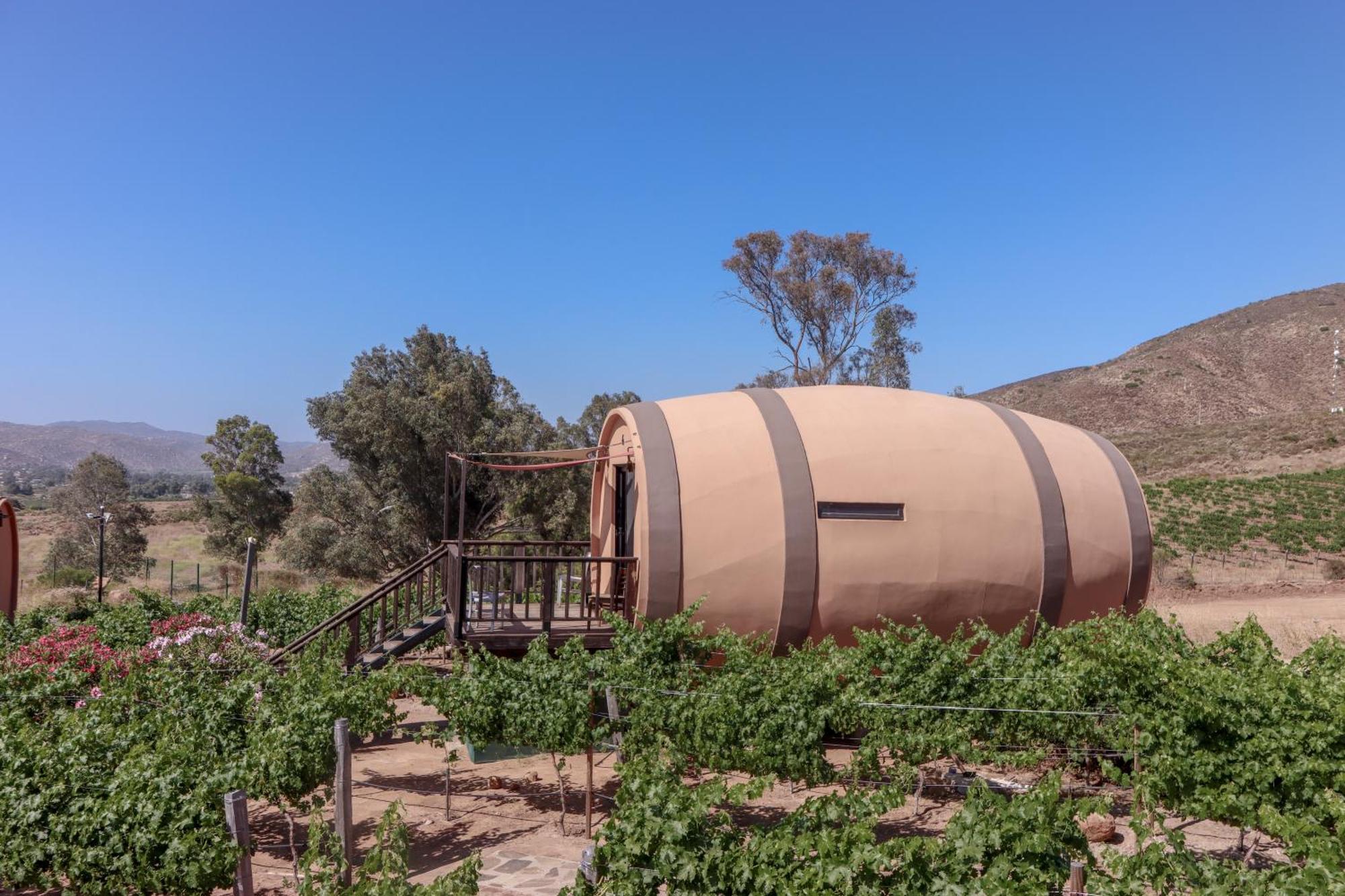 Finca El Mirador 瓜达鲁佩镇 外观 照片