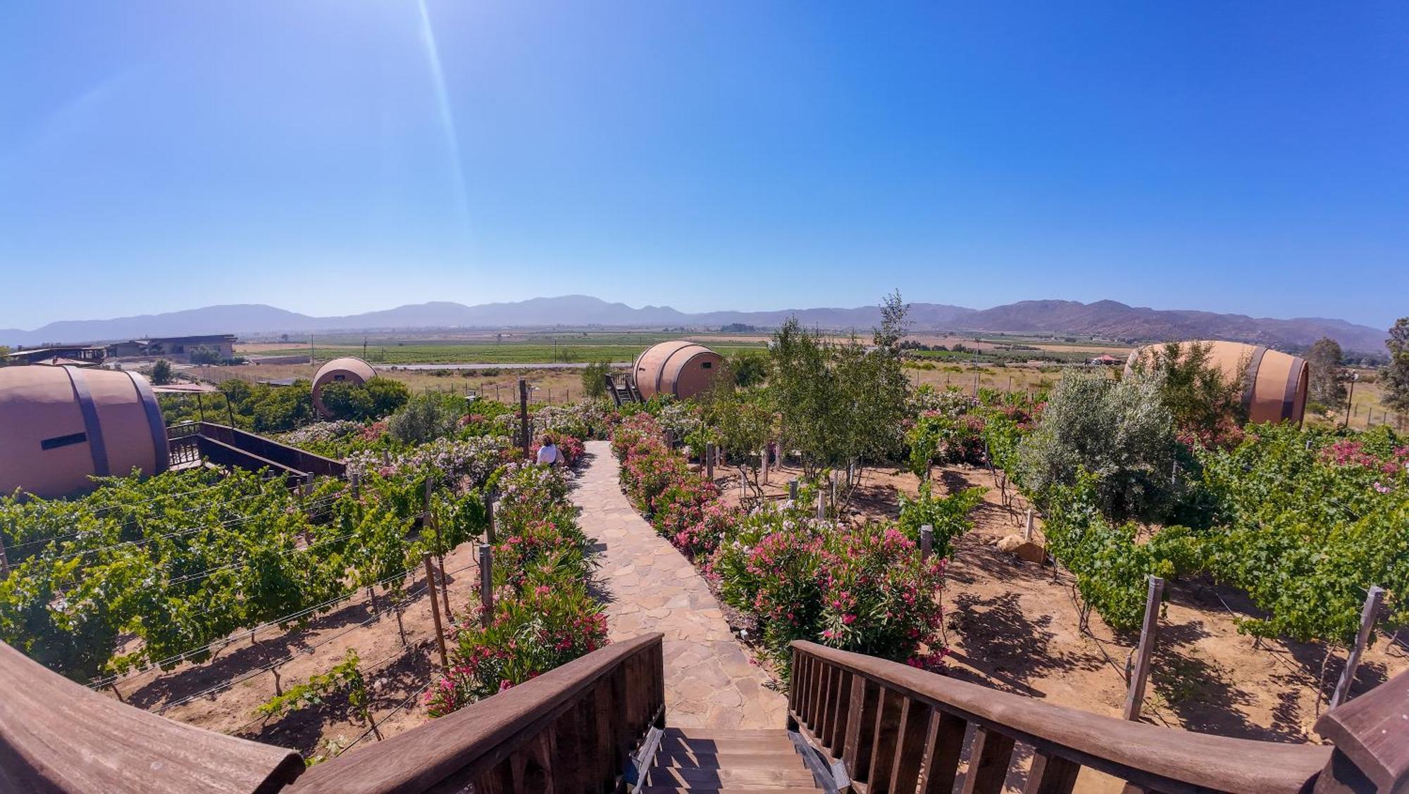 Finca El Mirador 瓜达鲁佩镇 外观 照片